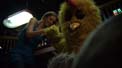 bird_punch