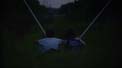 watching_fireflies_bmp