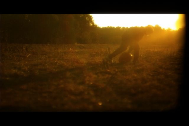 cornfieldbigflare
