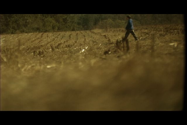 cornfieldwalkhigh