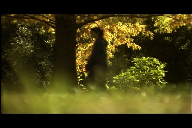 undertreemedium