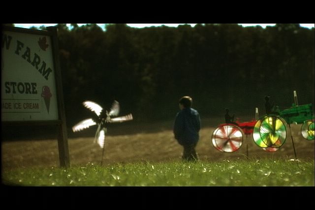 whirligigs