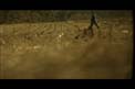 cornfieldwalkhigh
