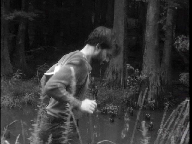 leroy_in_swamp