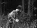leroy_in_swamp