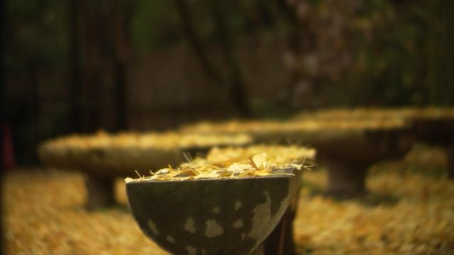 kamakura_gold_benches_#60ED